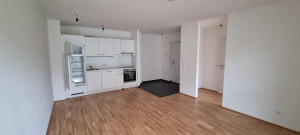Wohnung zu mieten: 8020 Graz,05.Bez.:Gries - Idlhofgasse W45 Wohnzimmer gesamt Wohnung zu mieten: 8020 Graz,05.Bez.:Gries - Idlhofgasse W45 Wohnzimmer gesamt