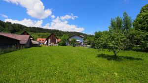 Land- und Forstwirtschaft zu kaufen: Kleinstübing 85, 8114 Kleinstübing - P6010004 Land- und Forstwirtschaft zu kaufen: Kleinstübing 85, 8114 Kleinstübing - P6010004