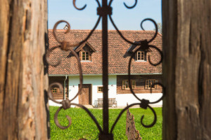 Haus zu kaufen: Ober-Henndorf 59, 8380 Henndorf im Burgenland - Rarität in Thermenregion (12) Haus zu kaufen: Ober-Henndorf 59, 8380 Henndorf im Burgenland - Rarität in Thermenregion (12)