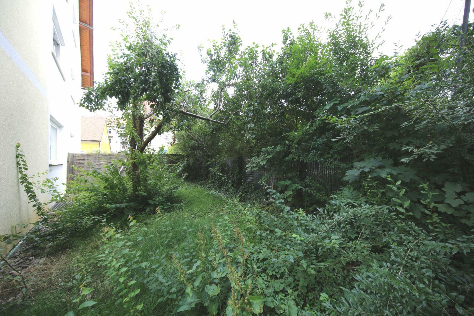 Wohnung zu mieten: 8020 Graz - Eigenfarten mit Zwetschgenbaum