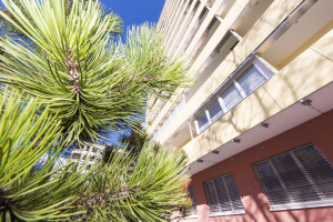 Wohnung zu kaufen: Laimburggasse 32, 8010 Graz - Eigentumswohnung Geidorf (3) Wohnung zu kaufen: Laimburggasse 32, 8010 Graz - Eigentumswohnung Geidorf (3)