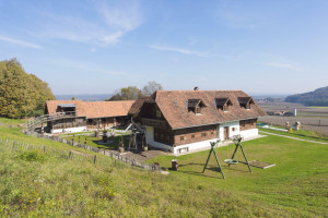 Haus zu kaufen: Ober-Henndorf 59, 8076 Henndorf im Burgenland - Landhaus in Thermenregion (7)