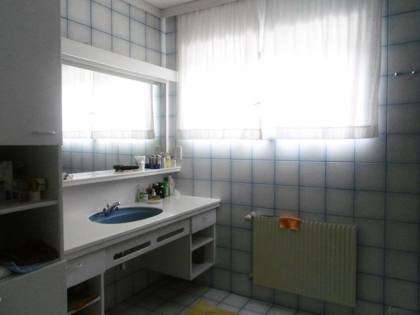 Haus zu kaufen: 8301 Kainbach bei Graz - 2. Badezimmer mit Dusche