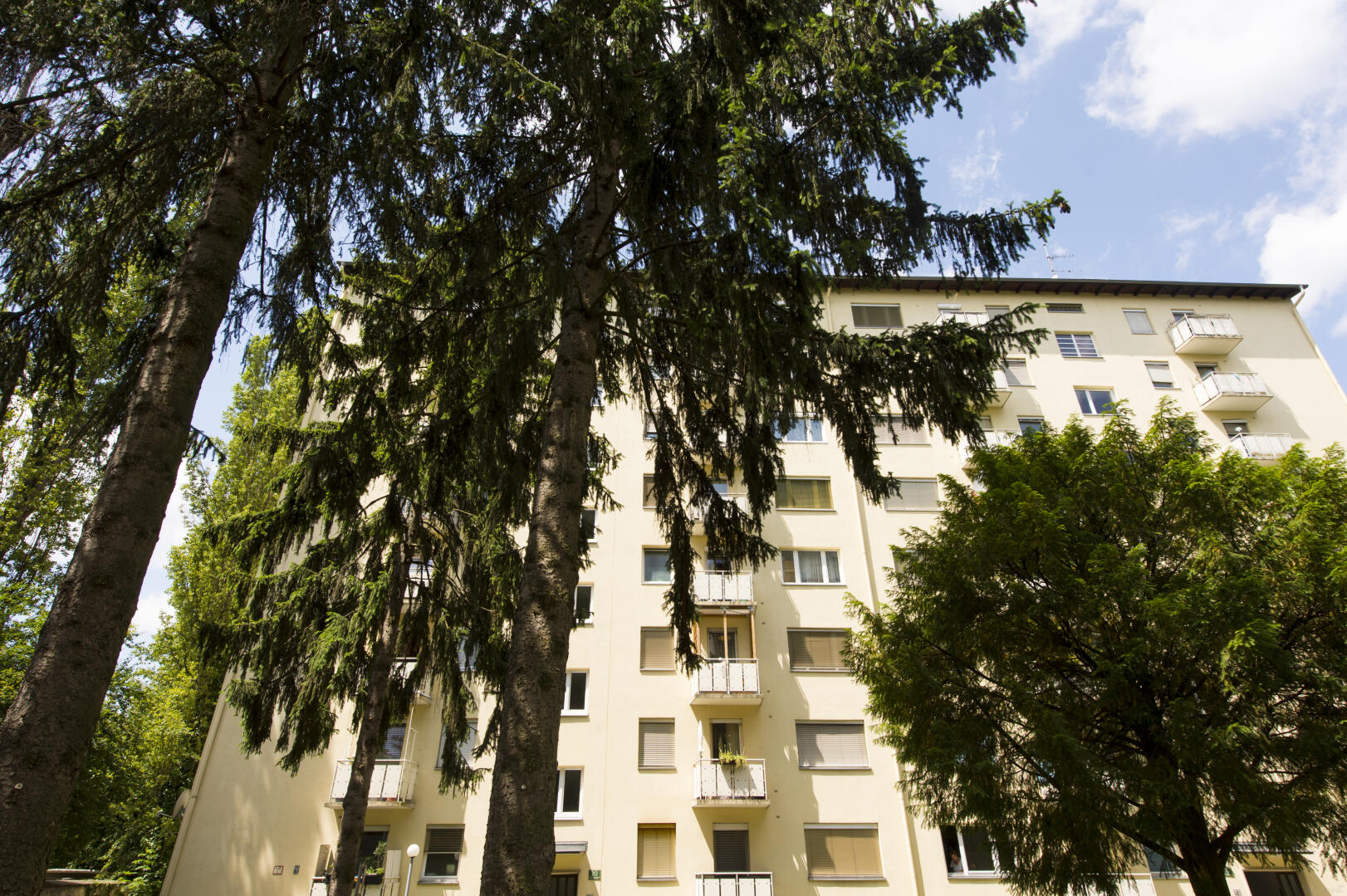 Wohnung zu kaufen: Münzgrabengürtel 20, 8010 Graz - Eigentumswohnung Graz  100