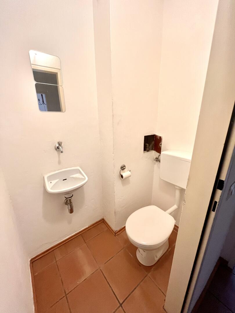 Wohnung zu mieten: Lendplatz, 8020 Graz - WC mit Waschbecken