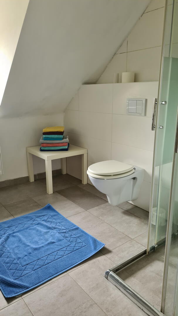 Wohnung zu kaufen: 8051 Graz - Badezimmer mit Dusche und WC