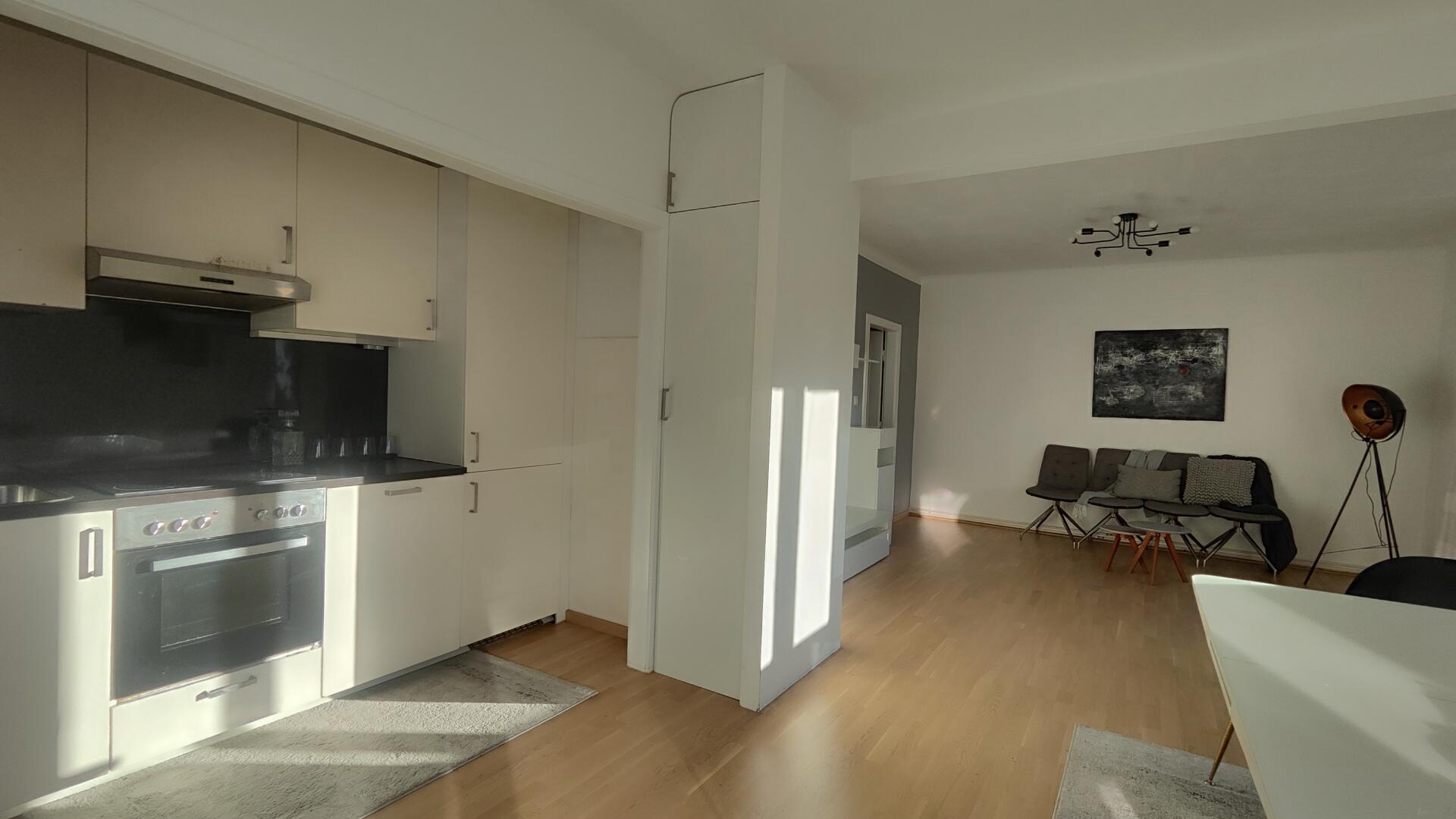 Wohnung zu kaufen: 8020 Graz - offene Wohnküche